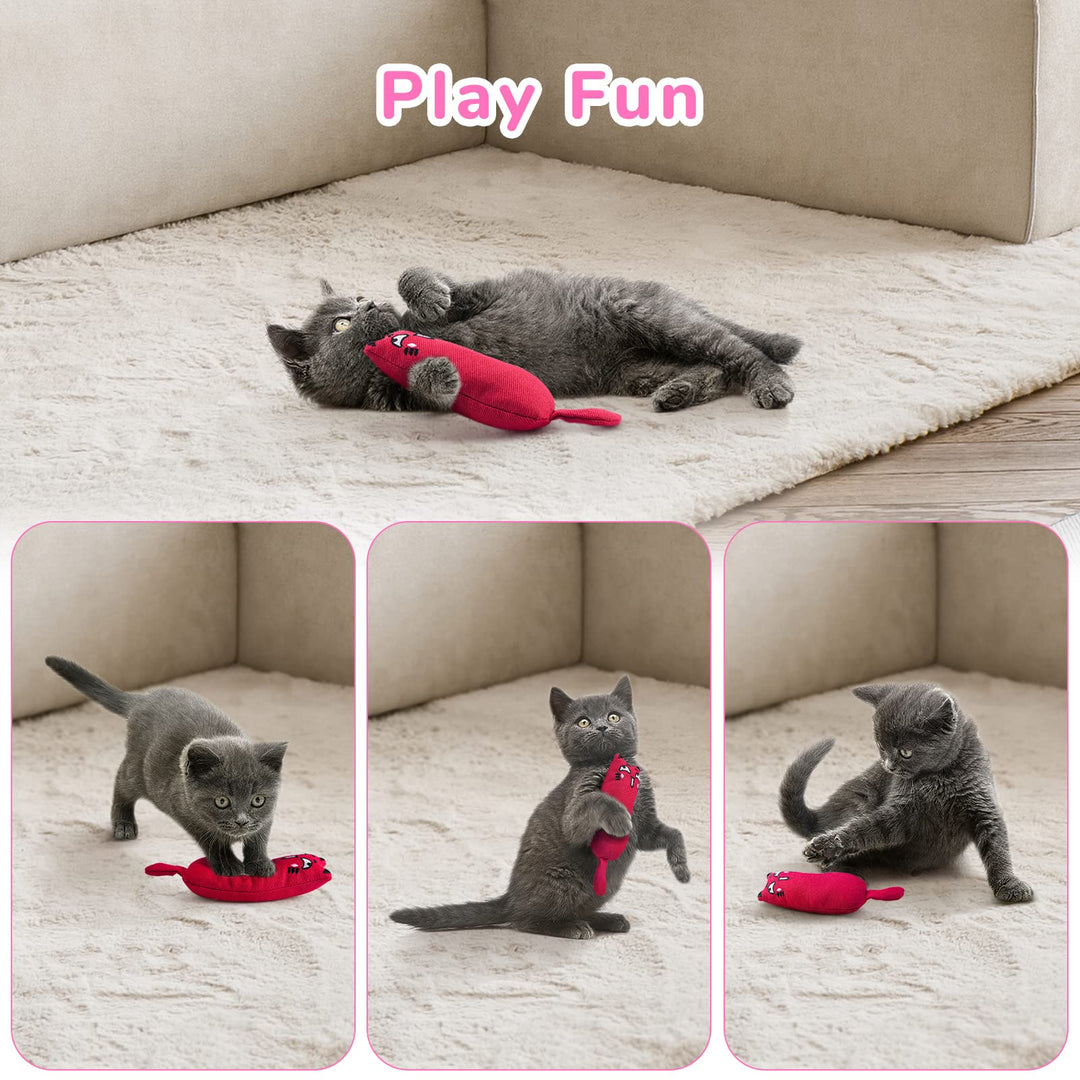 5Pcs Bite Resistant Catnip Toy for Cats,Catnip Filled Cartoon Mice Cat Teething Chew Toy