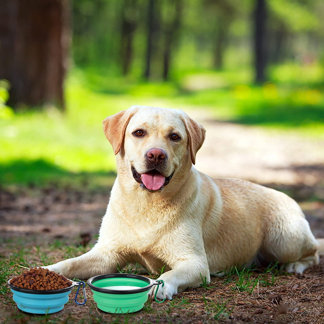 Collapsible Bowl with Cover Lids,2 Pack Dog Travel Bowls Portable Foldable Cat Water Dish Bowl for Pets Walking Parking Camping (Light Blue and Green, Small)