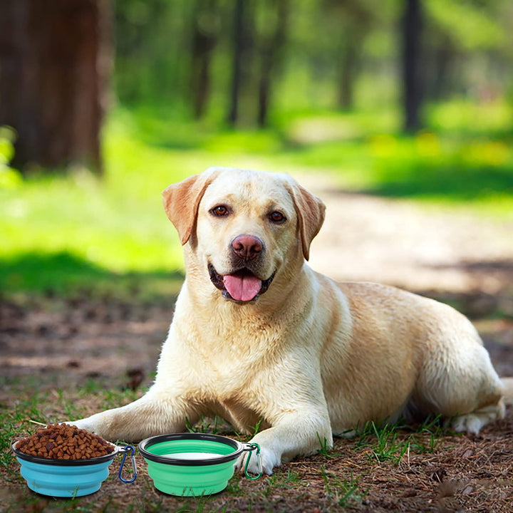 Collapsible Bowl with Cover Lids,2 Pack Dog Travel Bowls Portable Foldable Cat Water Dish Bowl for Pets Walking Parking Camping (Light Blue and Green, Small)