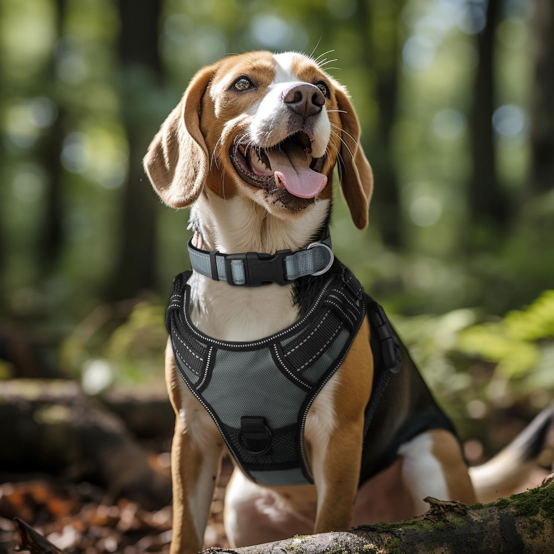 Reflective Dog Collar,Soft Neoprene Padded Breathable Nylon Pet Collar Adjustable for Extra Large Dogs,Gray,XL