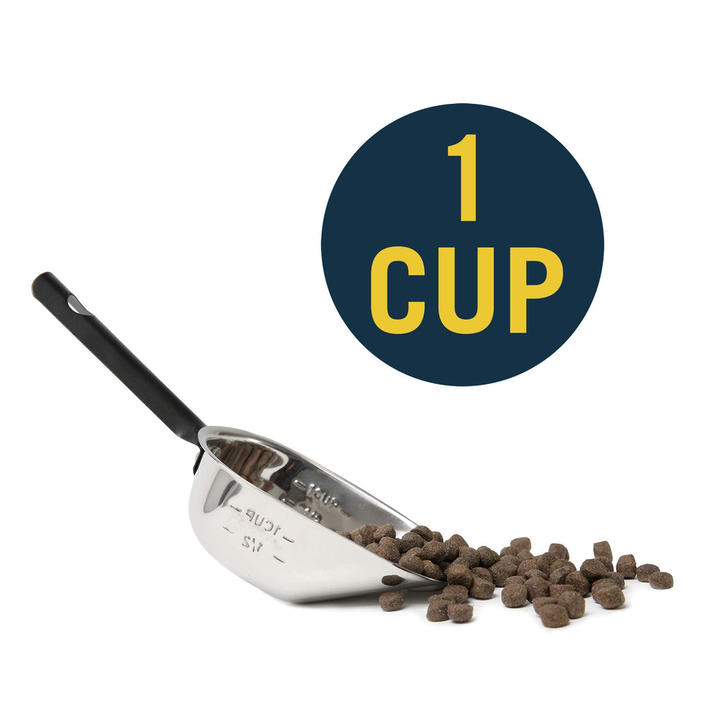 OurPet's Durapet Stainless Steel Food Scoop, 1 Cup,silver