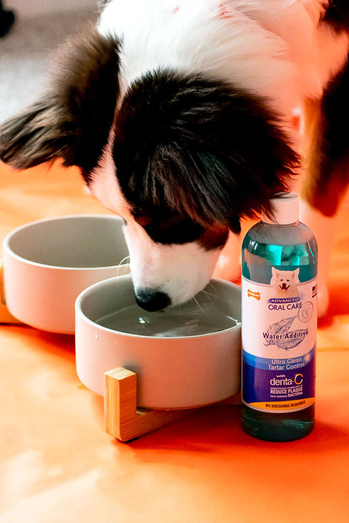 Advanced Oral Care Pet Dental Water Additive, Liquid Tartar Remover & Breath Freshener for Dogs, Dog Teeth-Cleaning, Original Flavor, 16 oz.