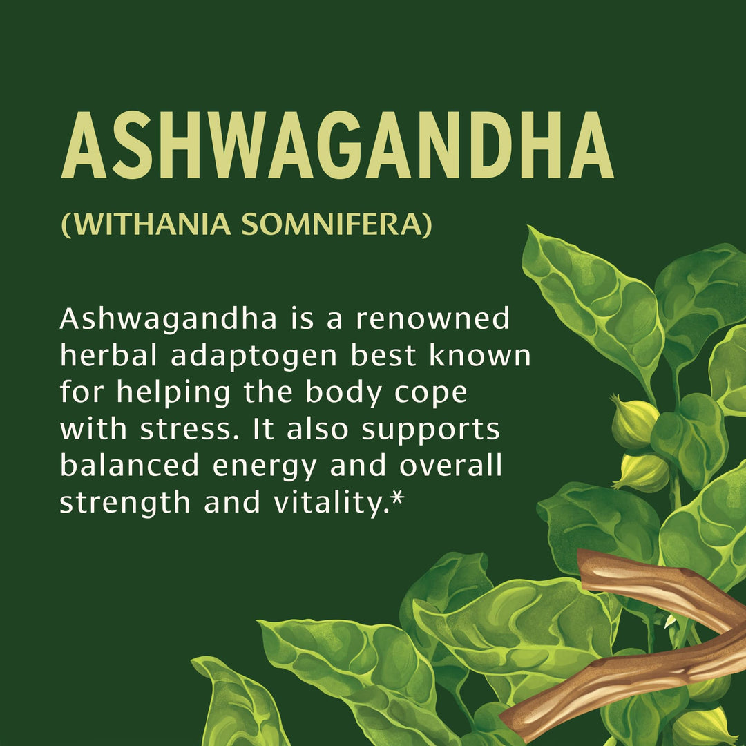 1000mg Ashwagandha Tablets – Organic Ashwagandha Root – Renowned Herbal Adaptogen for Energy Support and Stress Support* – 90 Tablets – Non-GMO Sustainably Sourced Vegan