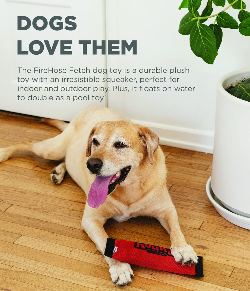 Firehose Fetch Dog Toy, Large