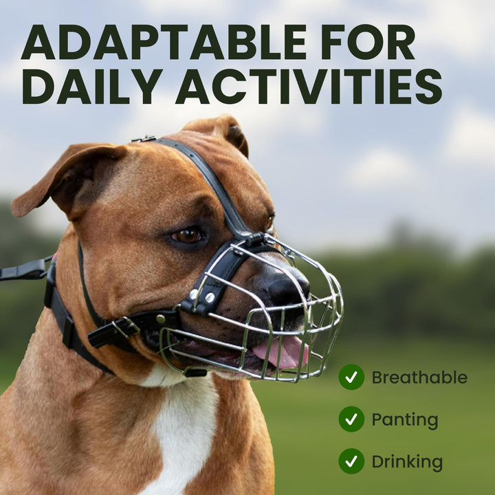 Pitbull Dog Muzzle Metal Mask Amstaff Wire Basket Pit Bull Adjustable Leather Straps for Large Dogs (Steel)