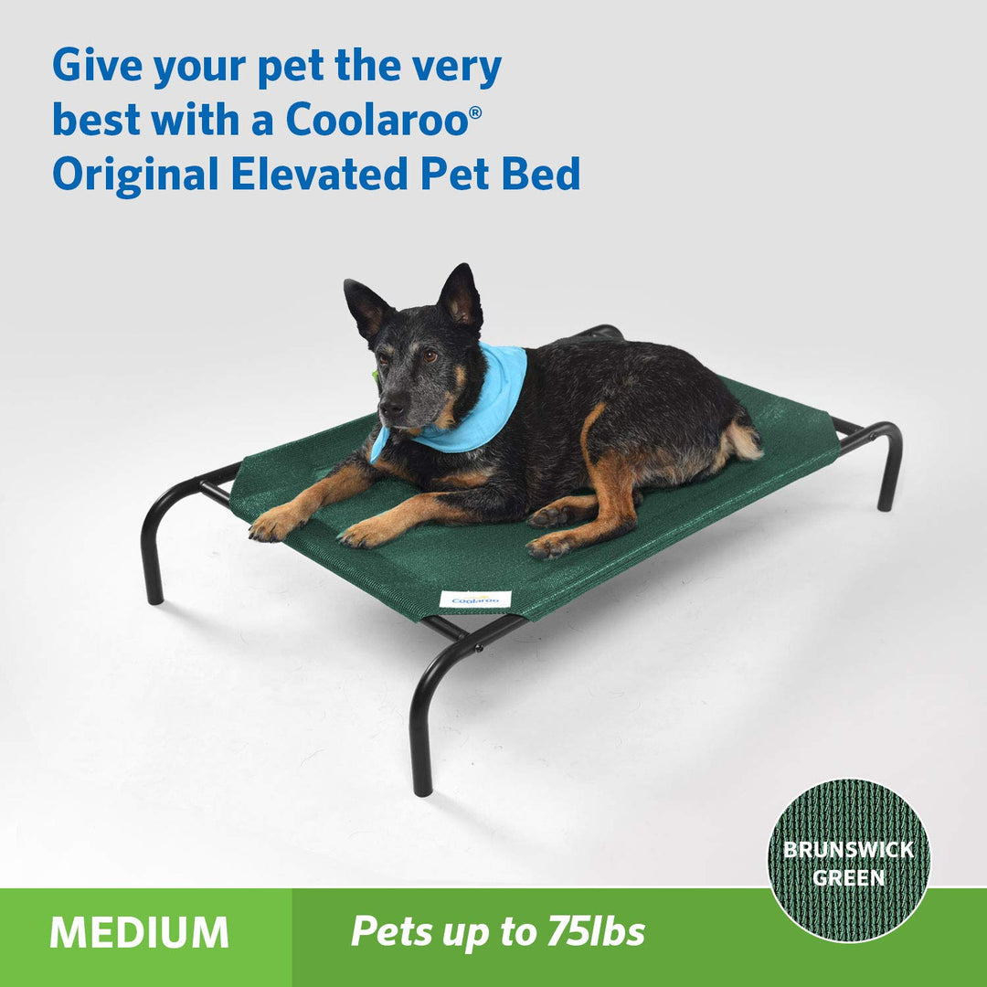 The Original Cooling Elevated Pet Bed, Medium, Brunswick Green