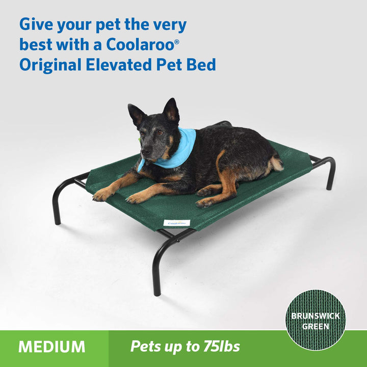 The Original Cooling Elevated Pet Bed, Medium, Brunswick Green