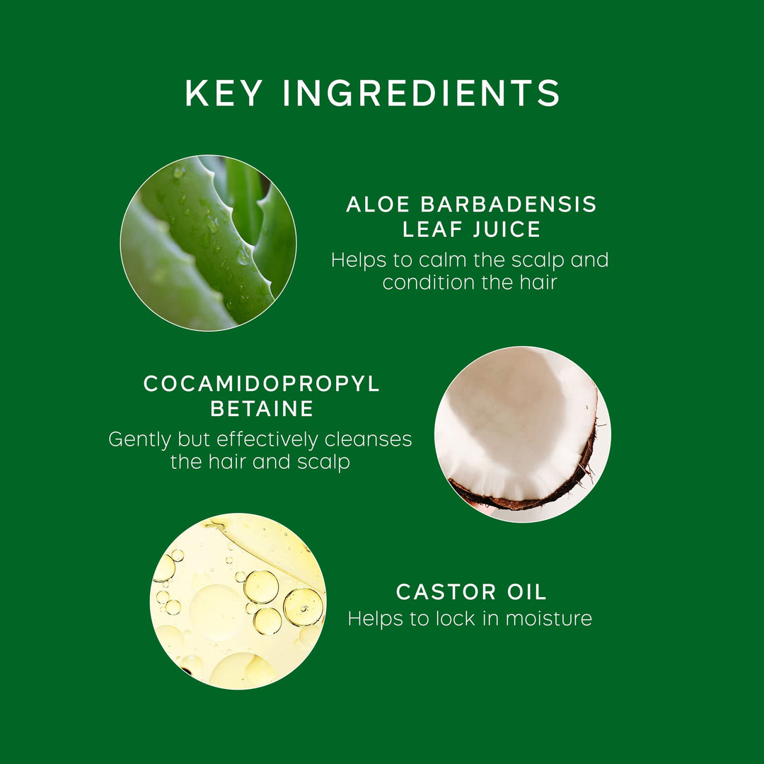 Philip Kingsley Flaky Scalp Shampoo, 8.45 Ounce