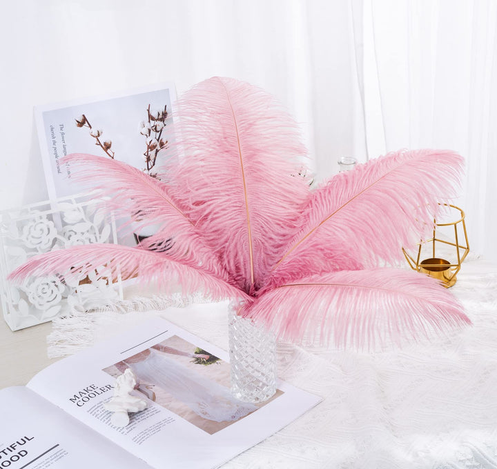 12pcs Natural Ostrich Feathers 12-14inch (30-35cm) for Wedding Party Centerpieces,Flower Arrangement and Home Decoration.(Shrimp Powder)
