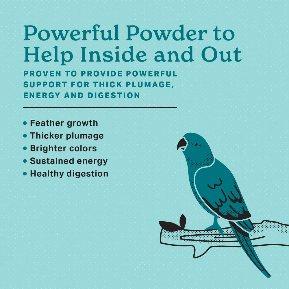 Avian Color & Shine Superfood Supplement Powder for Captive Birds - Flaxseed, Yucca, Kelp, Phytonutrients & Protein - Supports Energy, Plumage, Digestive & Immune Health - 3.5oz