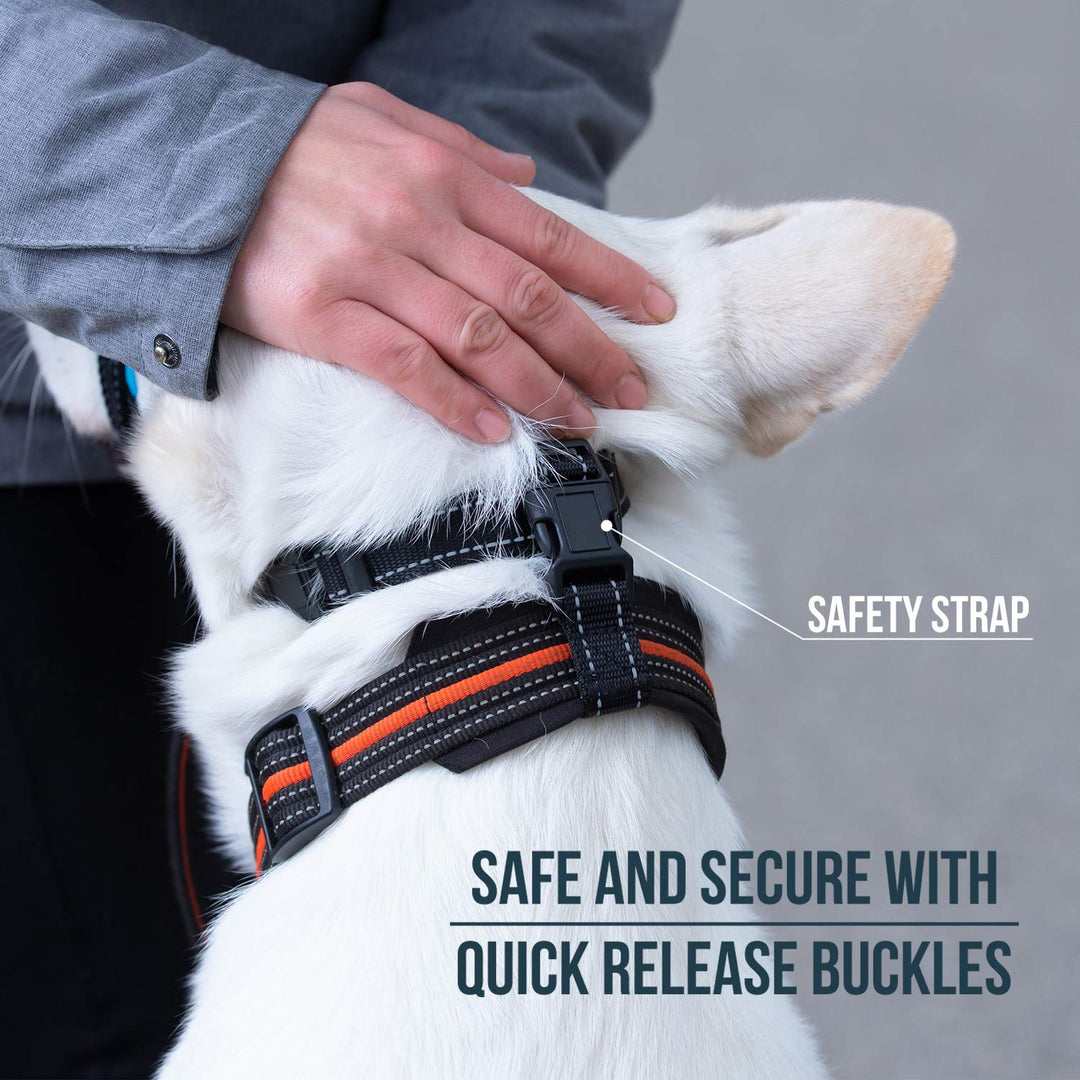 Dog Head Halter with Safety Strap - Stops Heavy Pulling On The Leash - Padded Headcollar for Small Medium and Large Dog Sizes - Head Collar Training Guide Included (Size 1, Black)