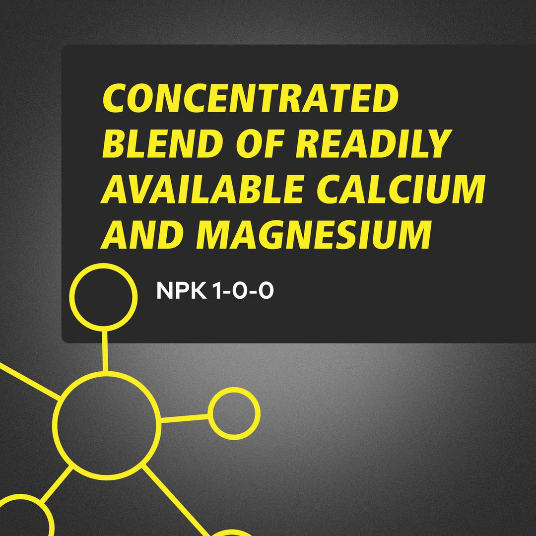CALiMAGic Quart
