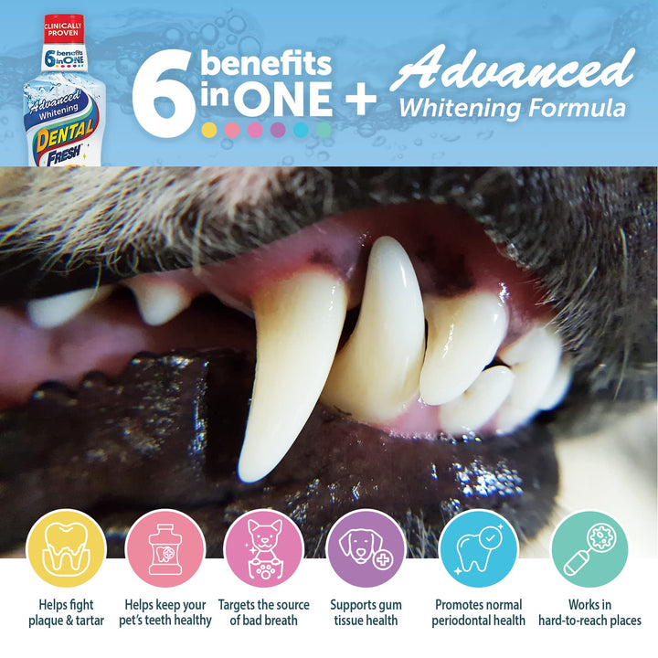 Advanced Whitening Water Additive, 17oz – Dog Breath Freshener Formula to Hep Overall Dog Dental Care and Brighten Teeth