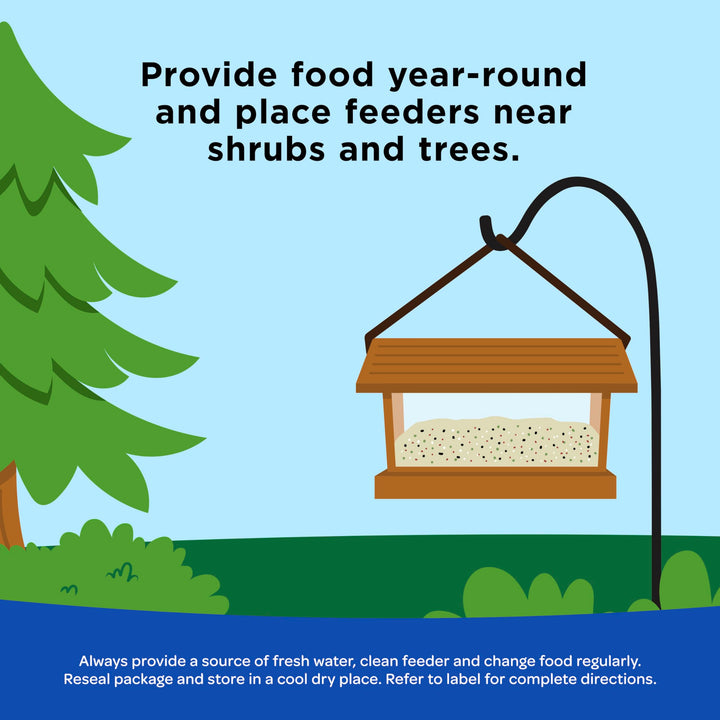 Peanuts Wild Bird Food, High in Fat and Protein