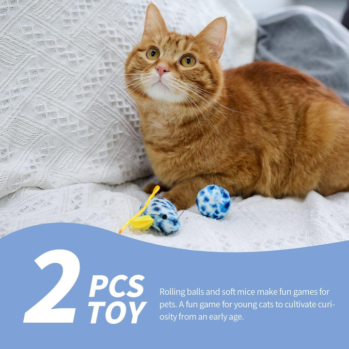 Kitty Litter Box Set Includes 4-Pieces - Shallow Cat Litter Pan, Cat Litter Scooper, Cat Bowls, Cat Mouse Toy, 14.5x10.5 Inches, Blue
