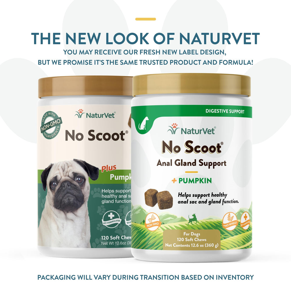 - No Scoot for Dogs - 120 Soft Chews - Plus Pumpkin - Supports Healthy Anal Gland & Bowel Function - Enhanced with Beet Pulp & Psyllium Husk