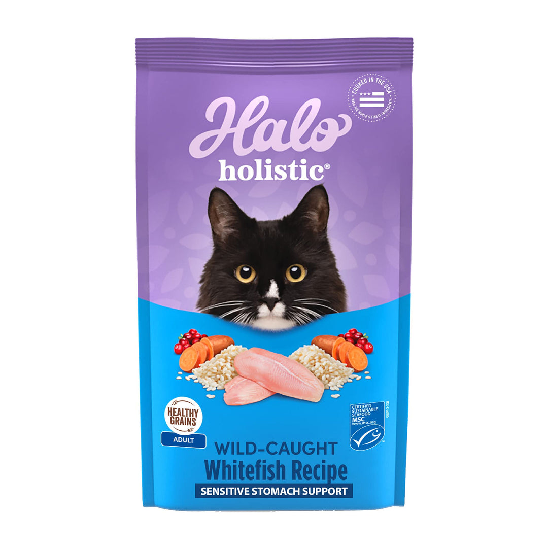 Halo Holistic Cat Food Wild Caught Salmon & Whitefish Formula, Healthy Grains Dry Cat Food, For Sensitive Stomach Support, Kibble for Adult Cats, 3 lb Bag