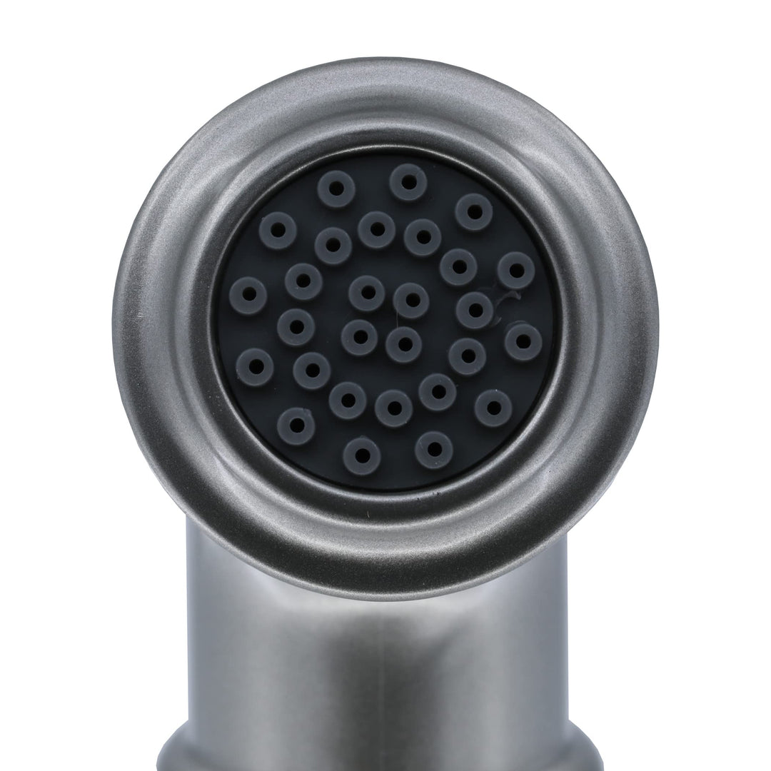 , Brushed Nickel, Universal Decorative Side Spray and Hose, 1-Pack (89216), Pack of 1