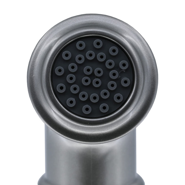 , Brushed Nickel, Universal Decorative Side Spray and Hose, 1-Pack (89216), Pack of 1