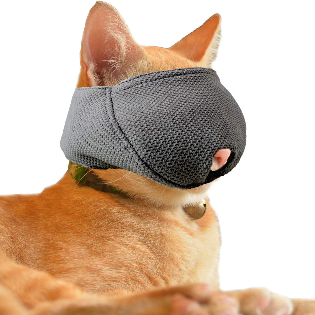 Cat Muzzle with Breathable Mesh, Cat Mouth Guard Muzzle for Prevent Biting Chewing Grooming (M,Black)