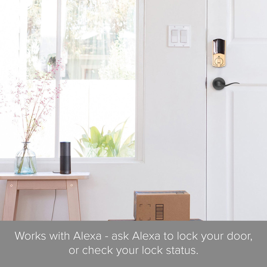 99140-110 Convert Smart Lock Conversion Kit - (Amazon Key Edition)