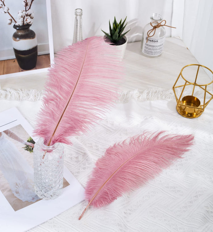 12pcs Natural Ostrich Feathers 12-14inch (30-35cm) for Wedding Party Centerpieces,Flower Arrangement and Home Decoration.(Shrimp Powder)