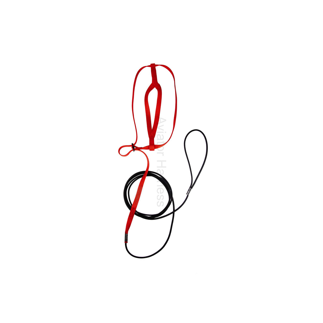 Pet Bird Harness and Leash: Large Red