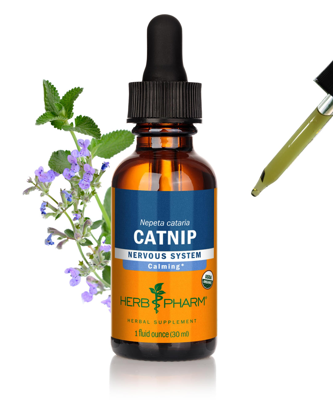 Certified Organic Catnip Liquid Extract for Calming Nervous System Support, 1 Fl Oz