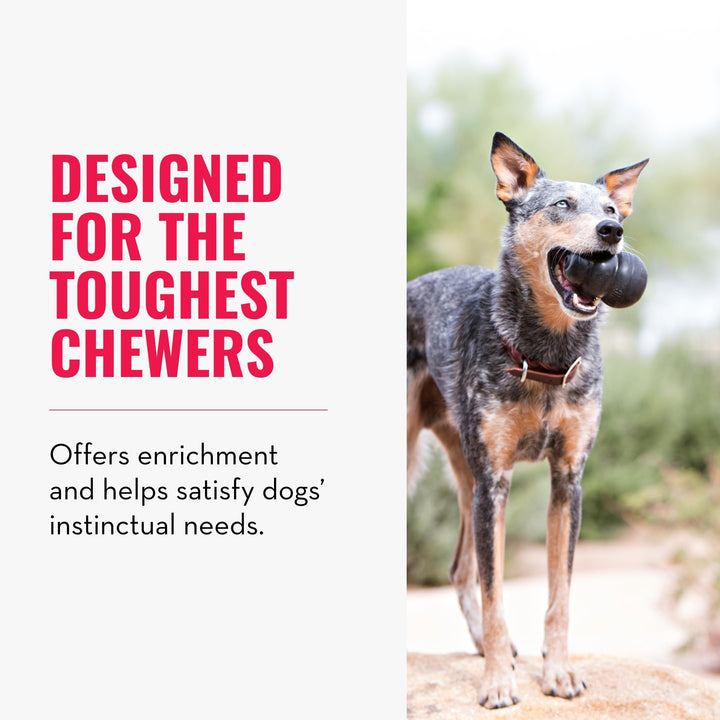Extreme Dog Toy - Fetch & Chew Toy - Treat-Filling Capabilities & Erratic Bounce for Extended Play Time Most Durable Natural Rubber Material - for Power Chewers - for Small Dogs