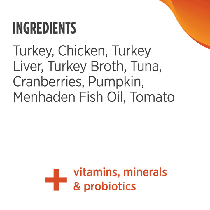 Freestyle Turkey & Chicken Pate Wet Canned Cat Food, 12.5 Ounce (Pack of 12)