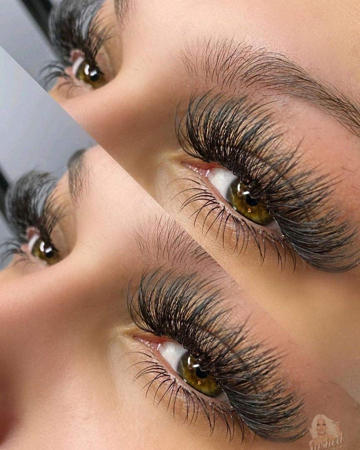Rapid Blooming Lashes .05 .07 Easy Fan Eyelash Extensions 3D 4D 5D 6D 10D Self Fanning Lashes