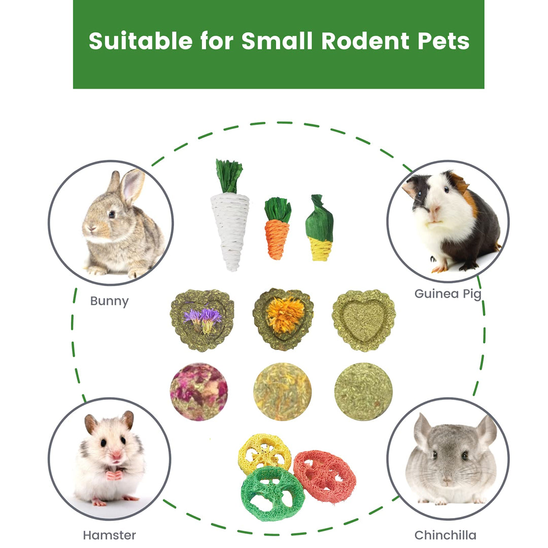 Rabbit Chew Toys 12PCS, Guinea Pig Toys, Bunny Toys for Teeth, Chew Toys and Treats for Rabbit Guinea Pig Hamster Chinchilla, Small Animal Teeth Care
