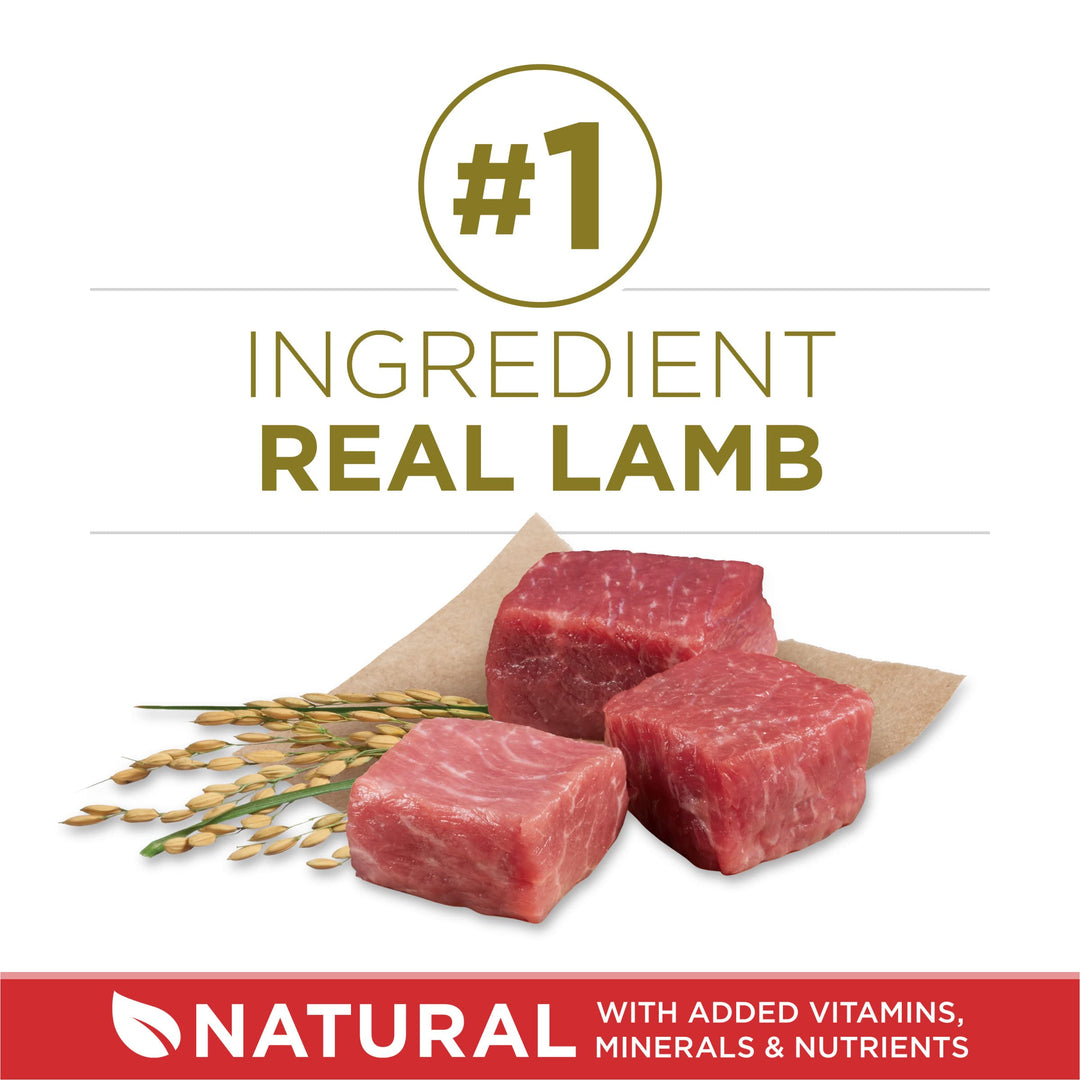 Dry Dog Food Lamb and Rice Formula - 8 lb. Bag