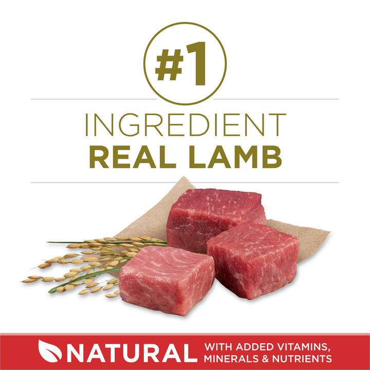 Dry Dog Food Lamb and Rice Formula - 8 lb. Bag