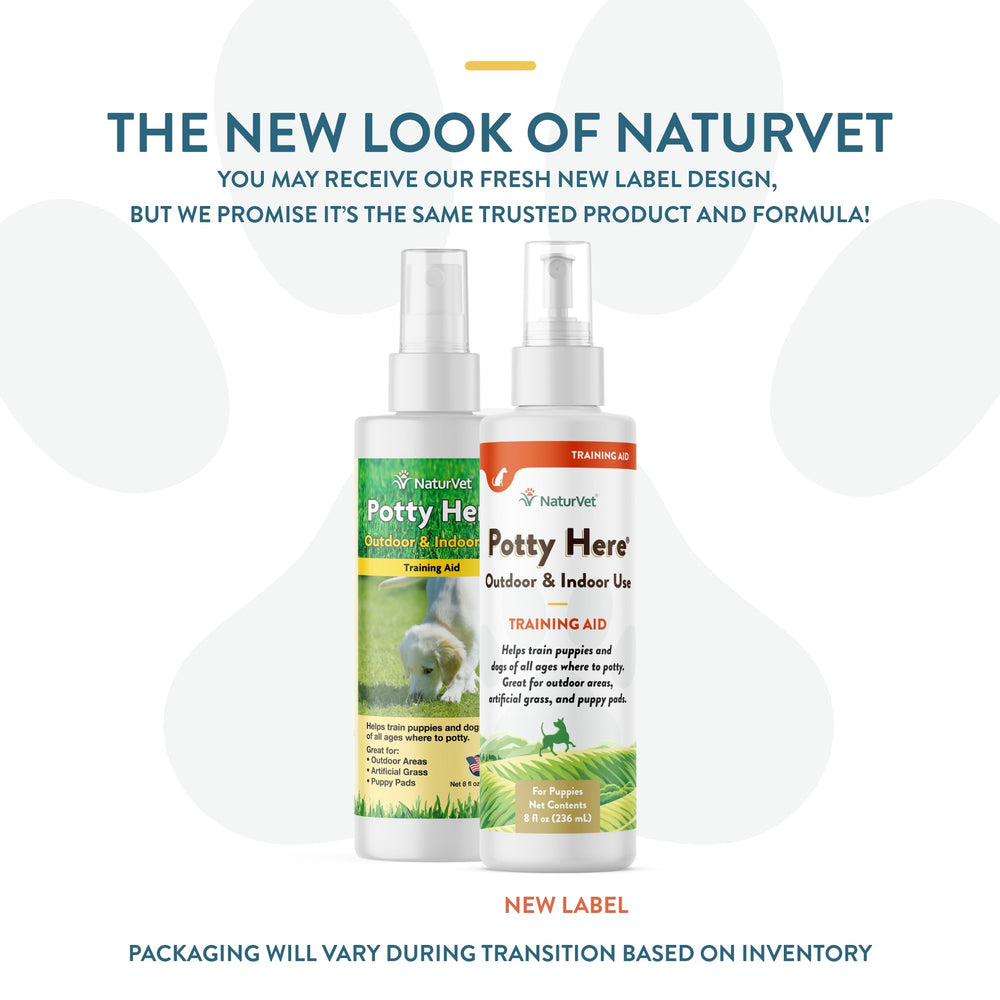 – Potty Here Training Aid Spray | Attractive Scent Helps Train Puppies & Dogs Where to Potty | Formulated for Indoor & Outdoor Use | 8 oz