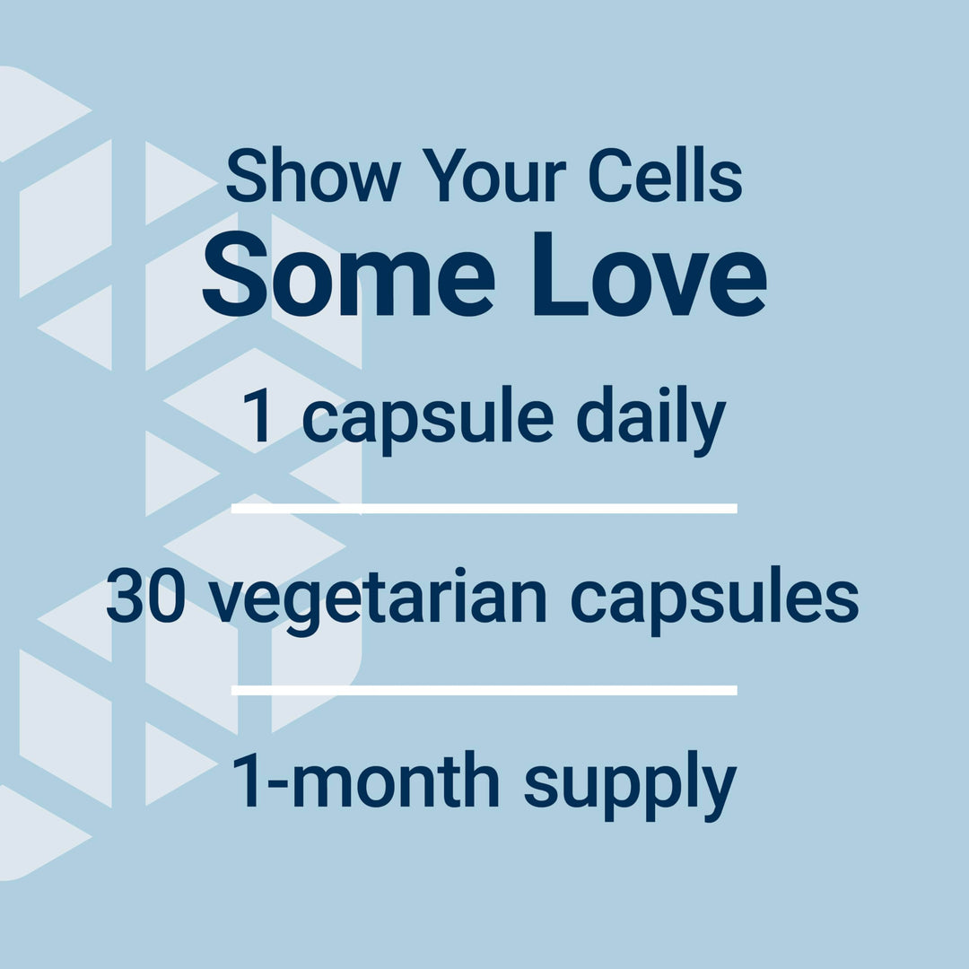 GEROPROTECT® Autophagy Renew, Luteolin, piperlongumine, Cellular Health Support, Healthy Aging, Gluten-Free, Non-GMO, Vegetarian, 30 Capsules