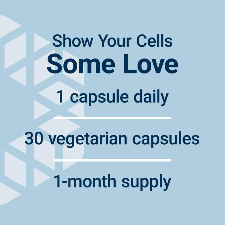 GEROPROTECT® Autophagy Renew, Luteolin, piperlongumine, Cellular Health Support, Healthy Aging, Gluten-Free, Non-GMO, Vegetarian, 30 Capsules