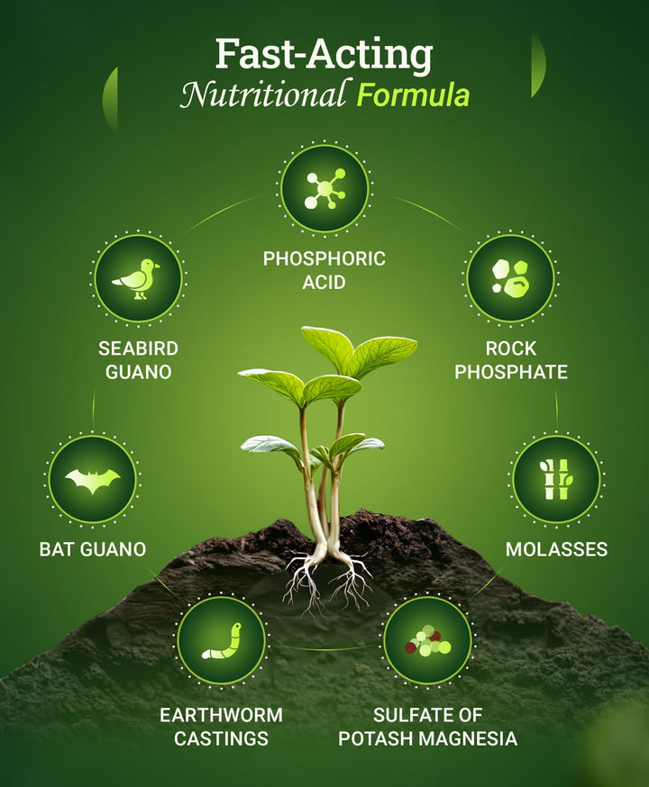 Foxfarm Bushdoctor Bembé Concentrate, Fast-Acting Liquid Plant Fertilizer, Enhances Natural Sugars for Sweetness and Flavor - Easy Absorption for Soil, Containers, and Hydroponics- NPK 0-1-3 (Quart)