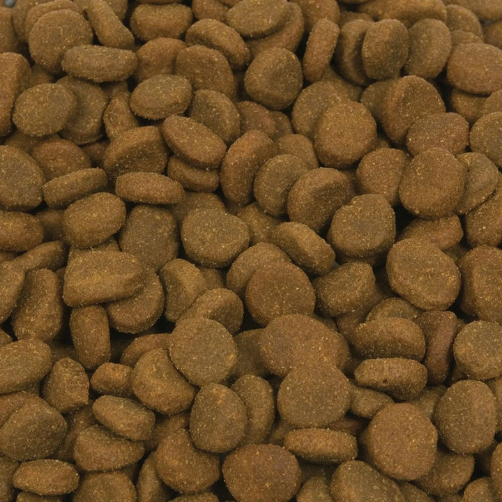 Orijen Regional Red - 25 lb