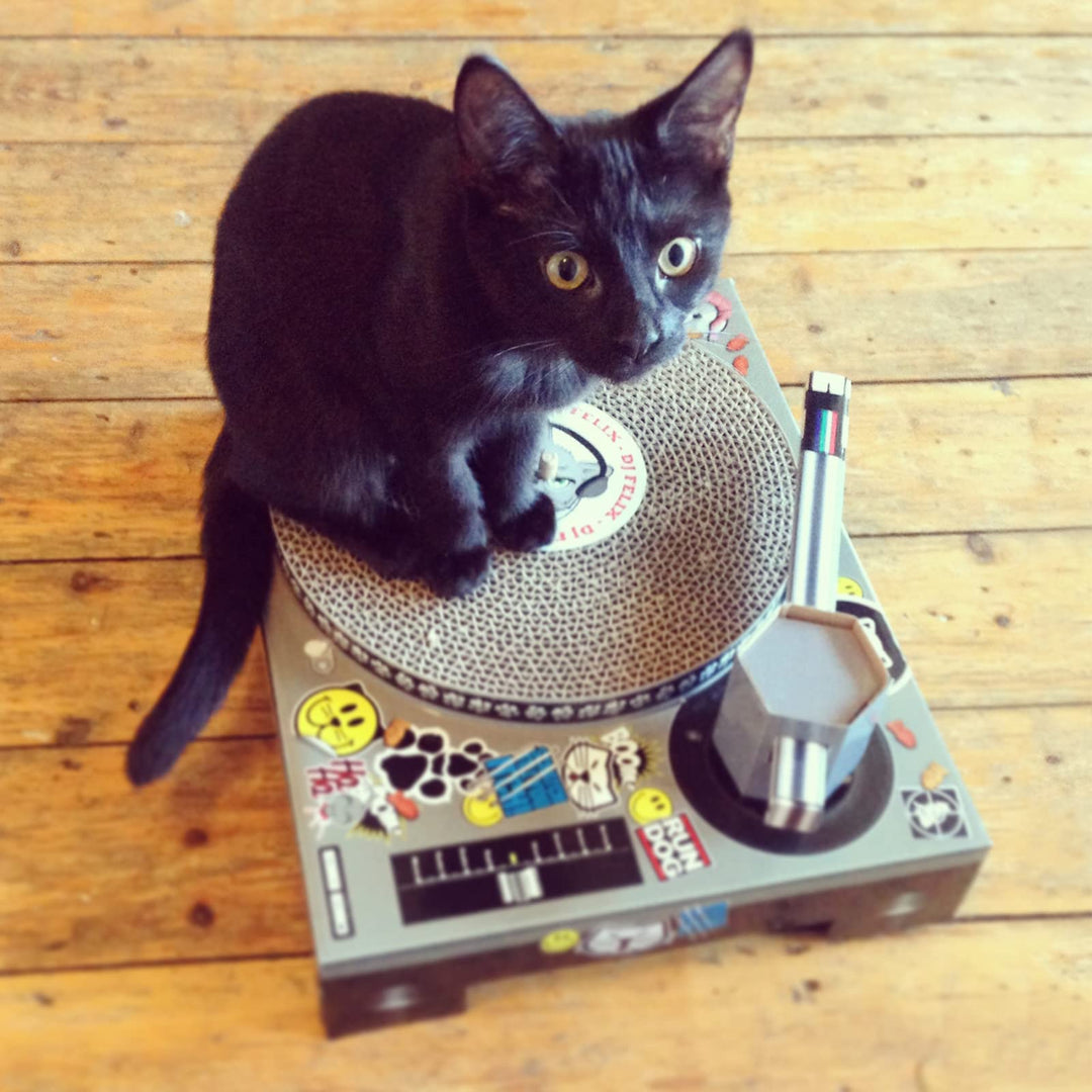 | Cat Scratcher DJ Decks | Cardboard Cat Scratchers | Funny Cat Scratching Board | Cat Scratching Mat | Interactive Cat Toy & Kitten Toys | Cat Furniture | Cat Gifts | Novelty Gifts for Cats