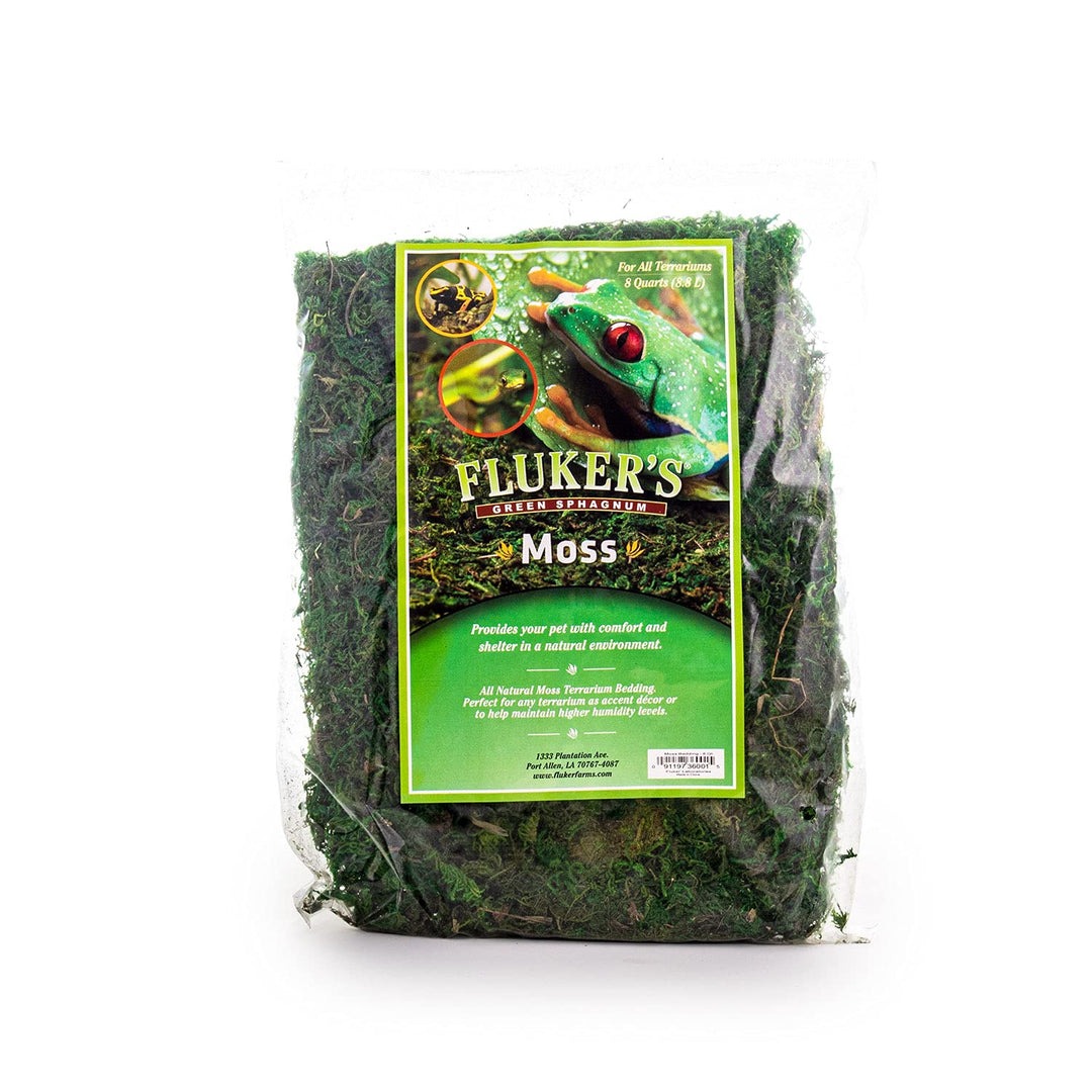 Fluker's Green Reptile Terrarium Moss, 8,Quart, Black