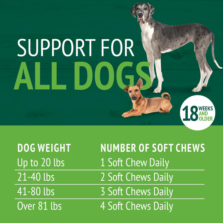 Skin and Coat Soft Chews for Dogs, 60 Count
