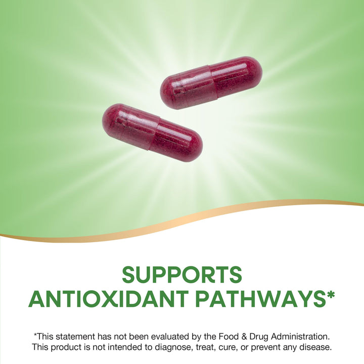 Nature's Way Beet Root, Supports Antioxidant Pathways*, Helps Neutralize Free Radicals*, 1,000 mg per 2-Capsule Serving, Vegan, 320 Capsules (Packaging May Vary)
