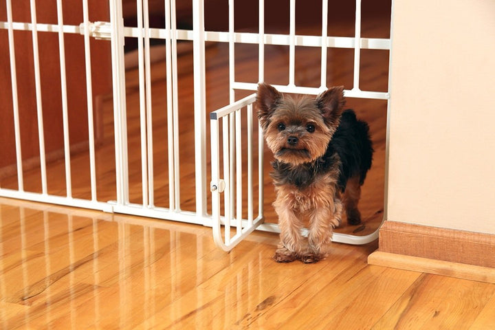 Carlson Lil Tuffy Metal Expandable Gate White, 38 x 1 x 18