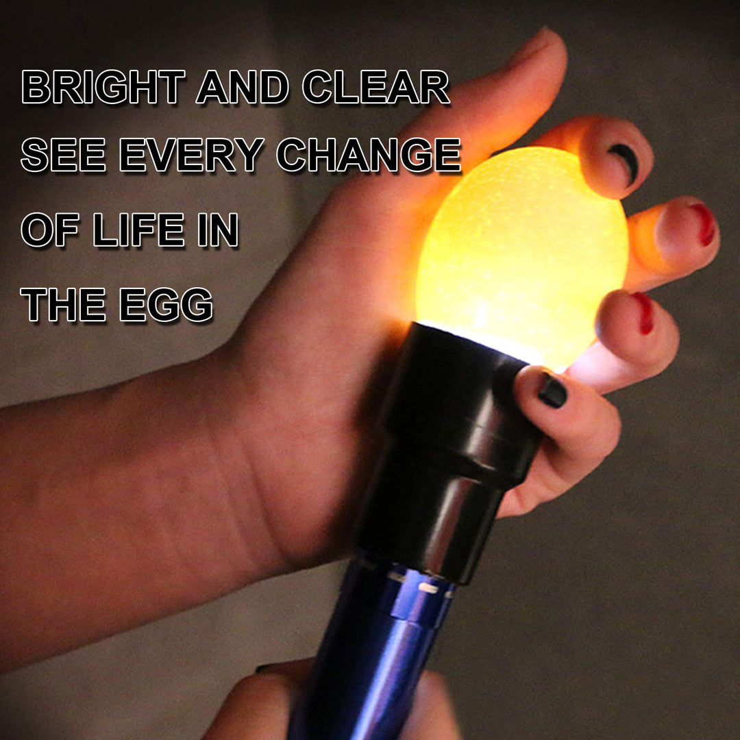 Light Egg Candler Tester Bright Cool LED Candling Lamp for All Chicken Dark Quail Duck Canary Pigeon Eggs. (red)