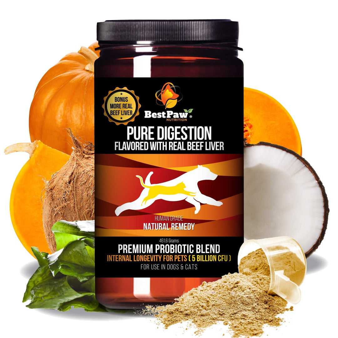 Probiotics for Dogs & Cats with Prebiotics & Digestive Enzymes Best for Gas Diarrhea UTI & Yeast Infection Relief Grain Free Powder Supplement Organic Coconut Oil Pumpkin & Turmeric Made in The USA