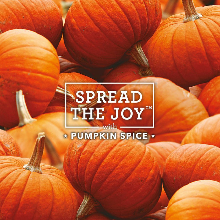 Plug in Scented Oil Refill, 2ct, Pumpkin Spice, Air Freshener, Essential Oils, Fall Scent, Fall décor