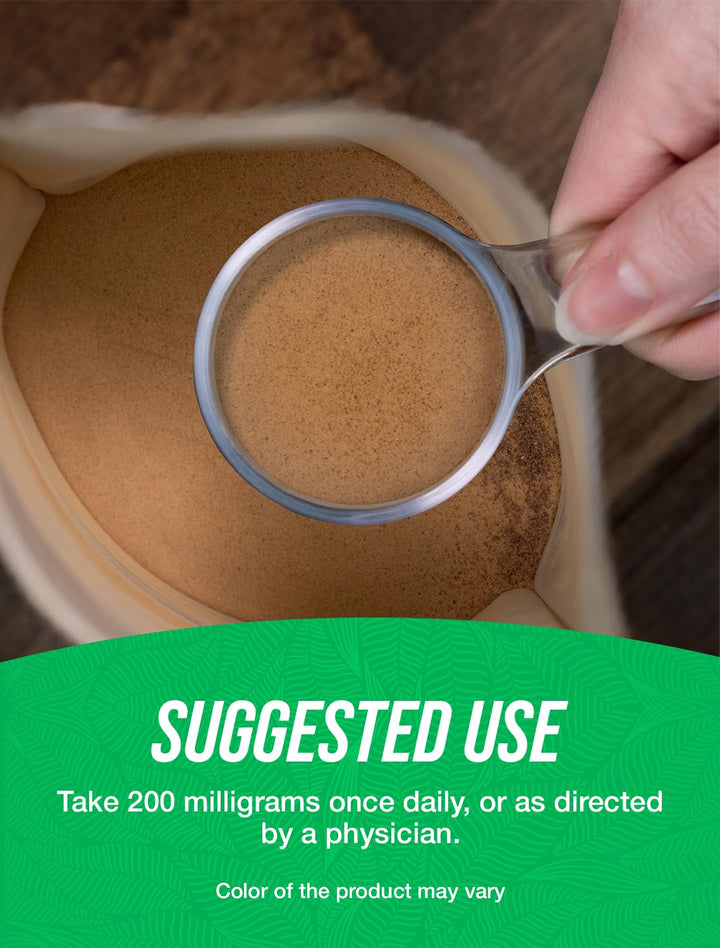 .com Ginkgo Biloba Extract Powder - Ginkgo Biloba Supplements, Ginkgo Biloba 120mg - Ginkgo Biloba Powder, Ginkgo Leaf Powder - Gluten Free, 120mg per Serving, 250g (8.8 oz)