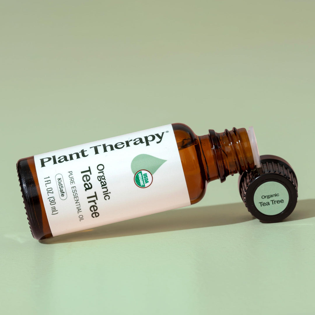 Organic Tea Tree Oil (Melaleuca) 100% Pure, USDA Certified Organic, Undiluted, Natural Aromatherapy, Therapeutic Grade 30 mL (1 oz)