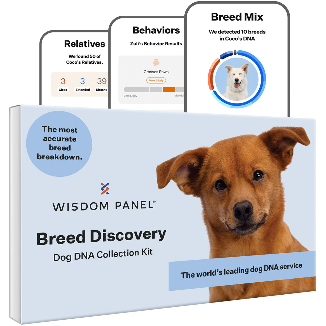 Health Panel Breed Discovery Dog DNA Kit: Most Accurate Dog Breed Identification, Test for 365+ Breeds, MDR1 Health Test, Ancestry, Relatives